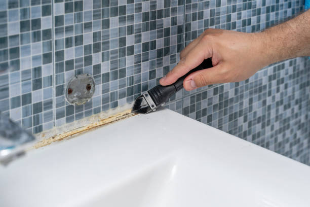 Trusted Altoona, IA Mold Removal Experts